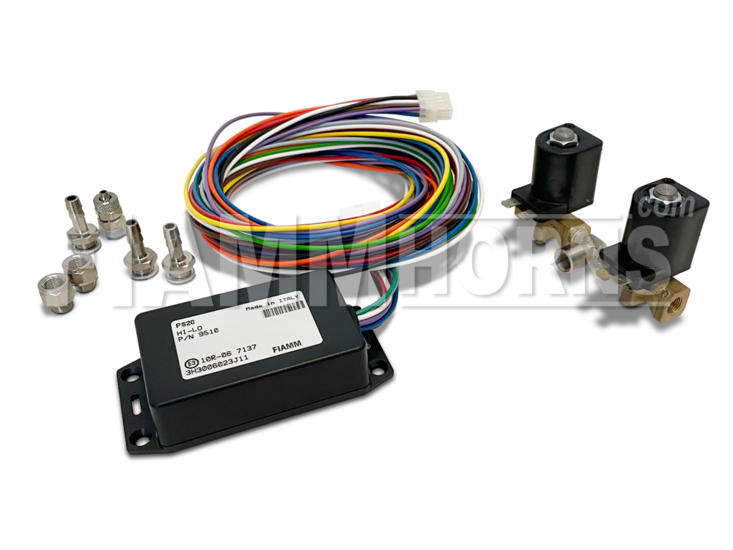 FIAMM PS20 International 12v